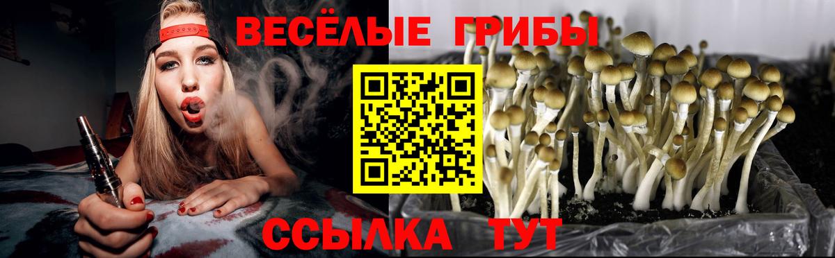 Галлюциногенные грибы прущие грибы Мценск